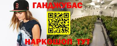 гашик Ливны