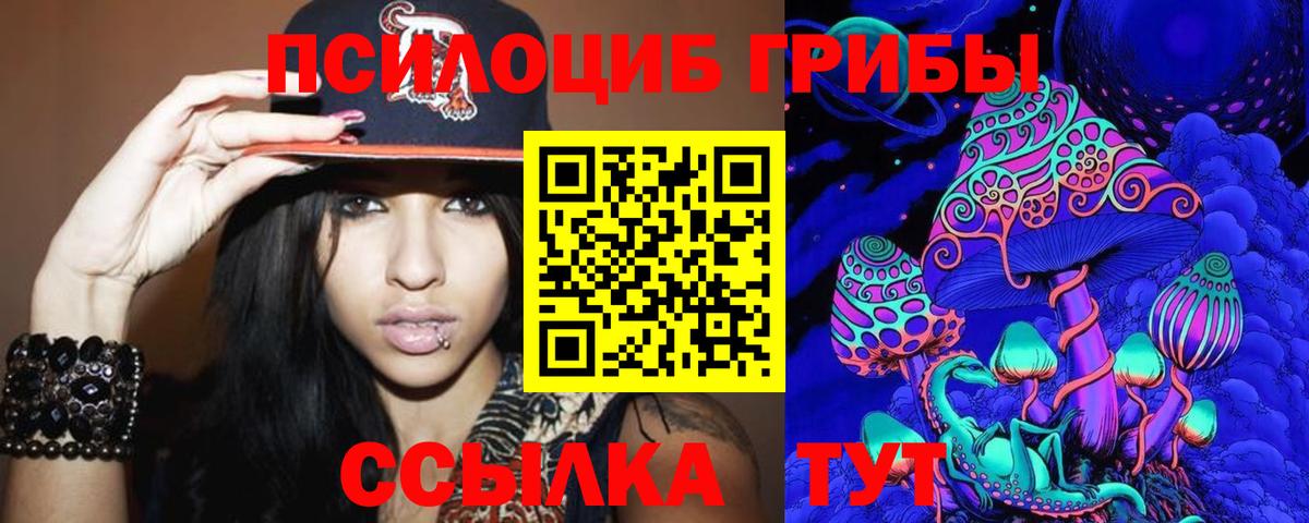 Гусь-Хрустальный  Псилоцибиновые грибы MAGIC MUSHROOMS  Вход с VPN 